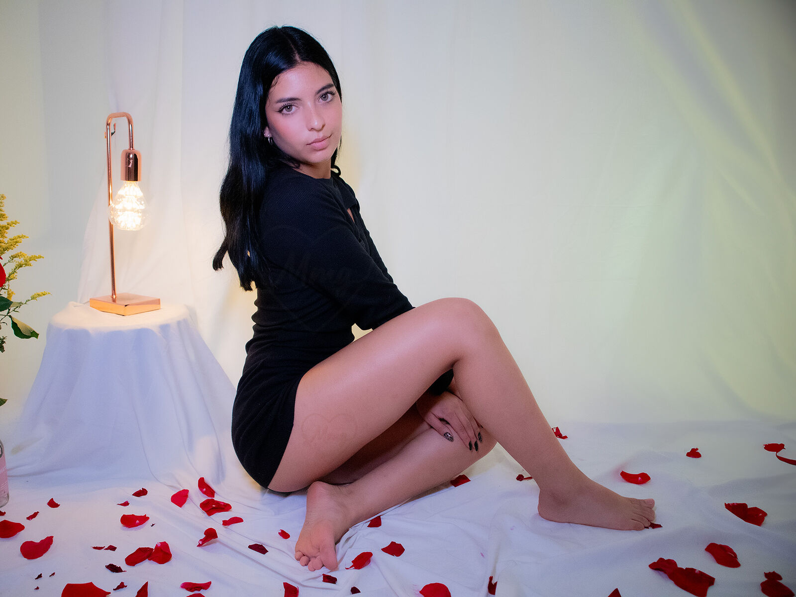 Private Live Sex Camera