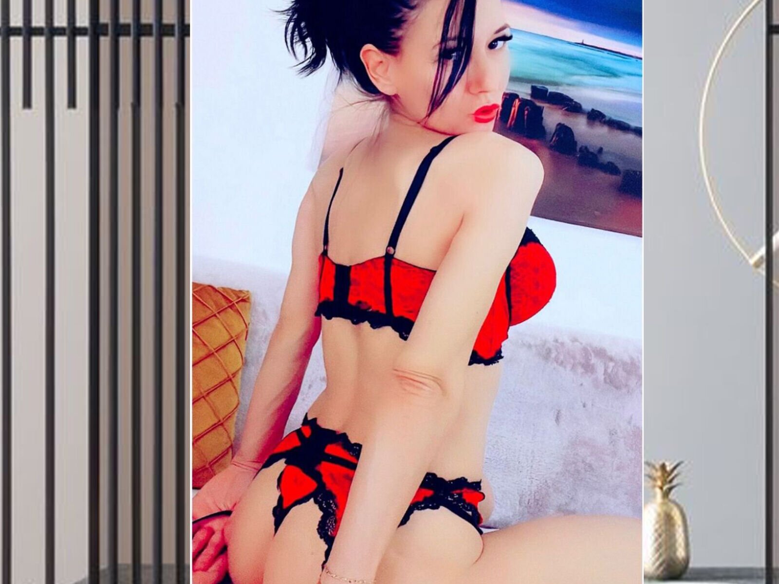 Private Live Sex Camera